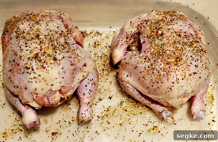 Smoked Mediterranean Cornish Game Hens Recipe 2 Mediterranean Smoked Cornish Game Hens seasoned in container