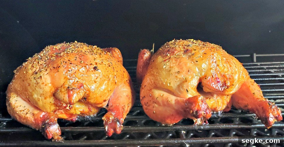Smoked Mediterranean Cornish Game Hens Recipe 3 Mediterranean Smoked Cornish Game Hens Smoking on pitboss 1100 pro