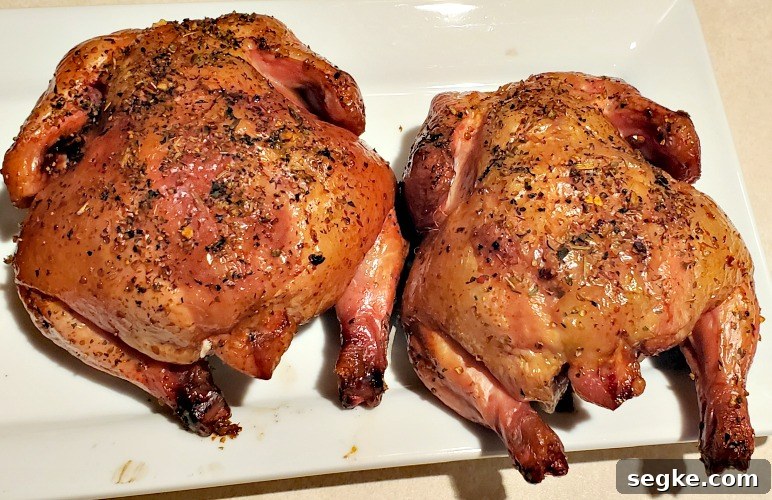 Smoked Mediterranean Cornish Game Hens Recipe 4 2 Mediterranean Smoked Cornish Game Hens on white plate