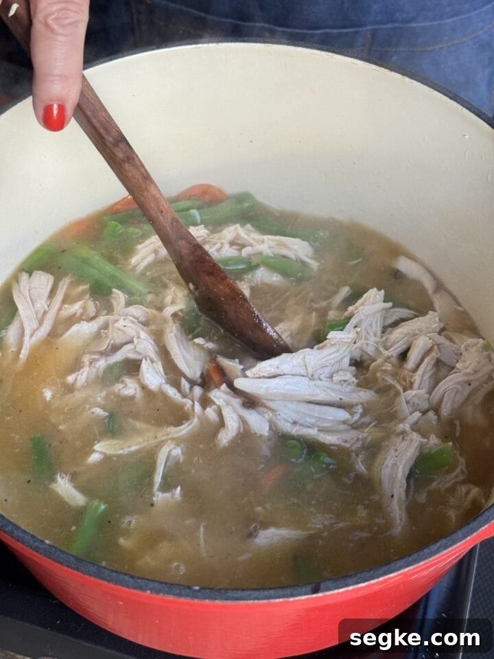 Stirring soup in pot