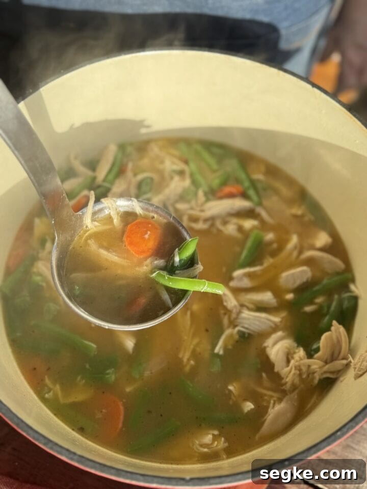 ladleful of soup