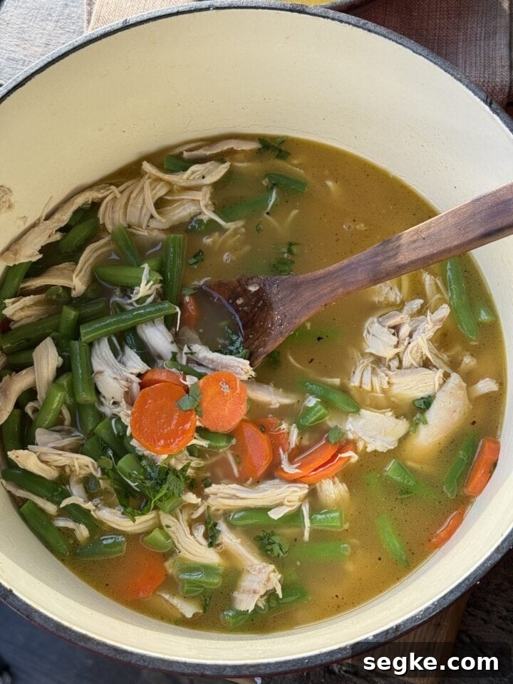 a close up photo of rotisserie chicken soup in a dutch oven