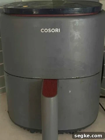 How to Use An Air Fryer
