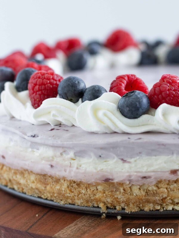 Berry no-bake cheesecake