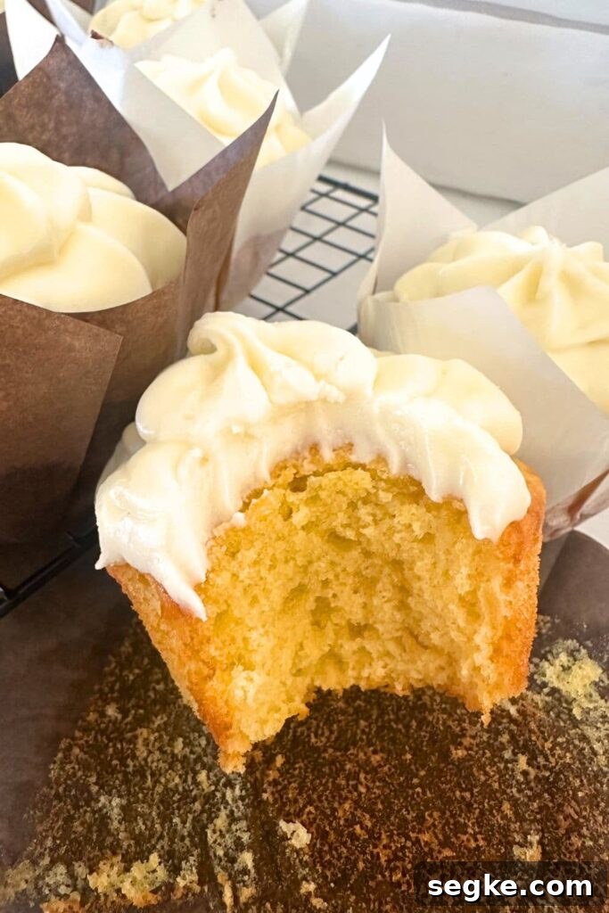 Sourdough Vanilla Cupcakes served with vanilla cream cheese frosting