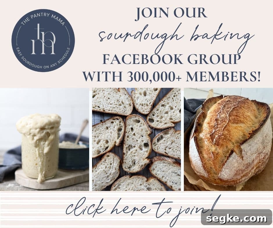 Sourdough community image