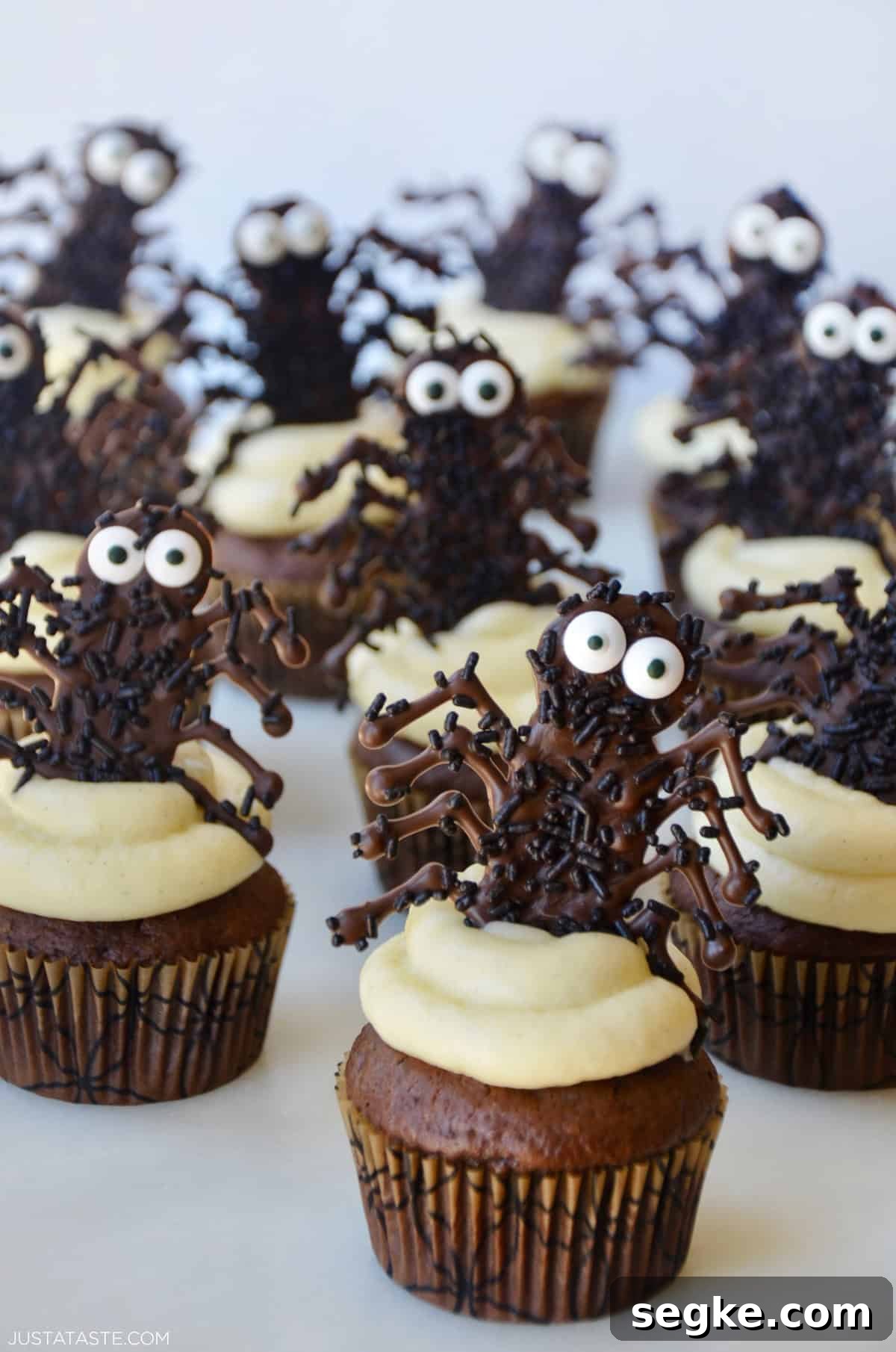 Spooky Halloween Dessert Recipes to Impress Guests 2 Chocolate spider cupcakes with buttercream frosting.