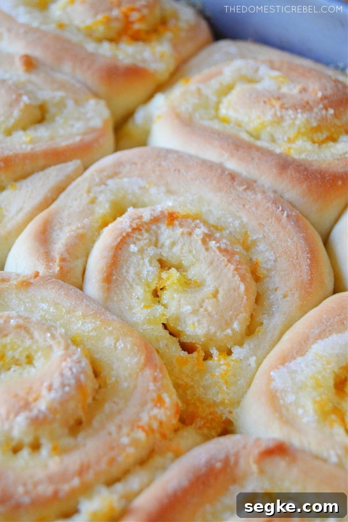 Zesty Orange Glazed Sweet Rolls Recipe 4 A close up of an unfrosted orange sweet roll in the pan