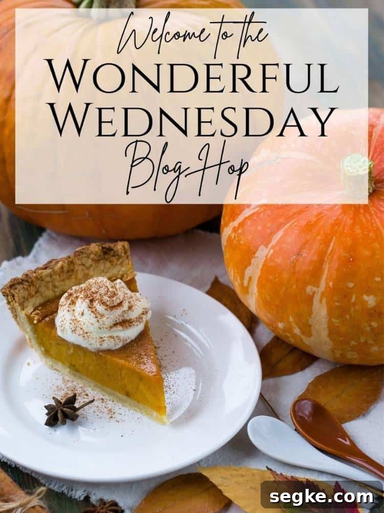 Wonderful Wednesday Blog Hop: 20th Link Party 2 img 22393 1
