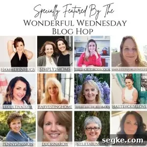 Wonderful Wednesday Blog Hop: 20th Link Party 7 Graphic for Specially Featured by the Wonderful Wednesday Blog Hop WWBH