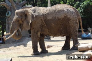 IMG_1913