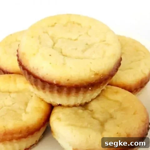 Cinnamon Spice Keto Muffins
