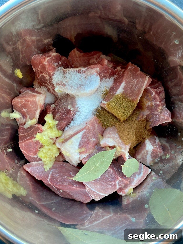 instant pot carnitas