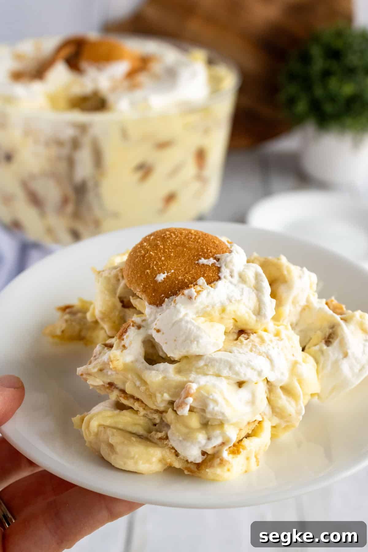Plate of banana pudding.
