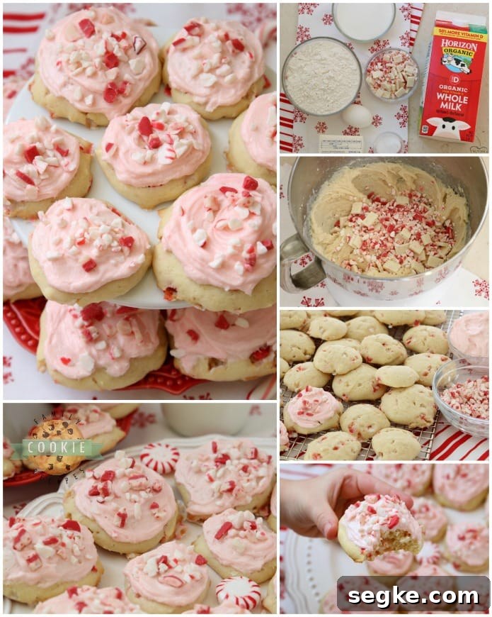 Homemade Frosted Peppermint Cookies Recipe 2 Frosted Peppermint Cookies are soft, pillowy cookies baked with peppermint candy and topped with peppermint vanilla buttercream and candy cane pieces.
