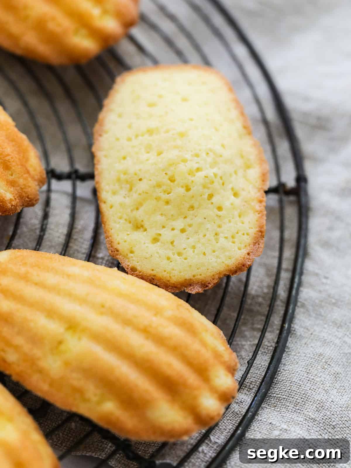 Showing the madeleine bump