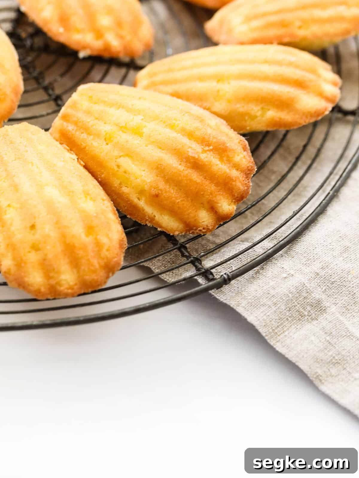 Fresh baked Pineapple Coconut Madeleines