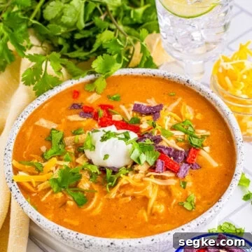 Copycat Chili's Enchilada Soup finished in bowl with toppings.