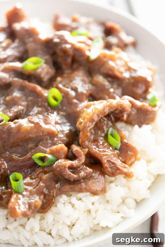 Mongolian beef over rice with green onion slices