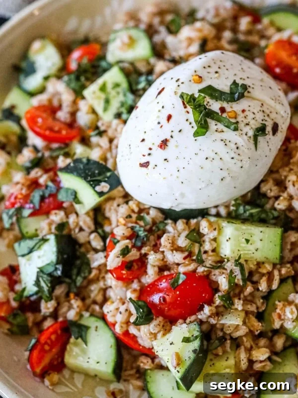 Farro salad with burrata