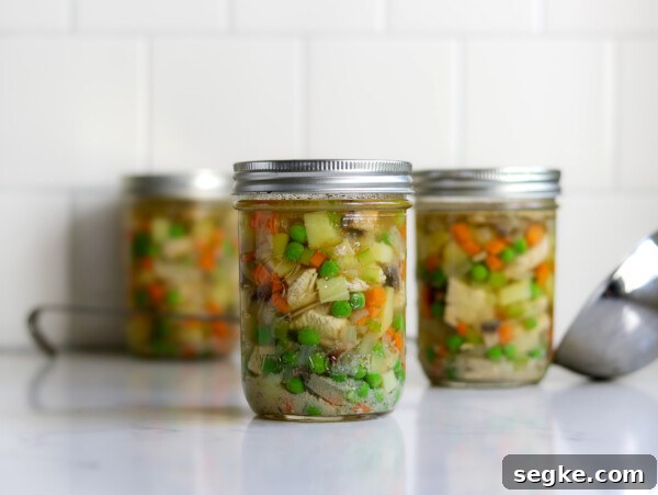 Home Pressure canned Chicken Pot Pie Fillings