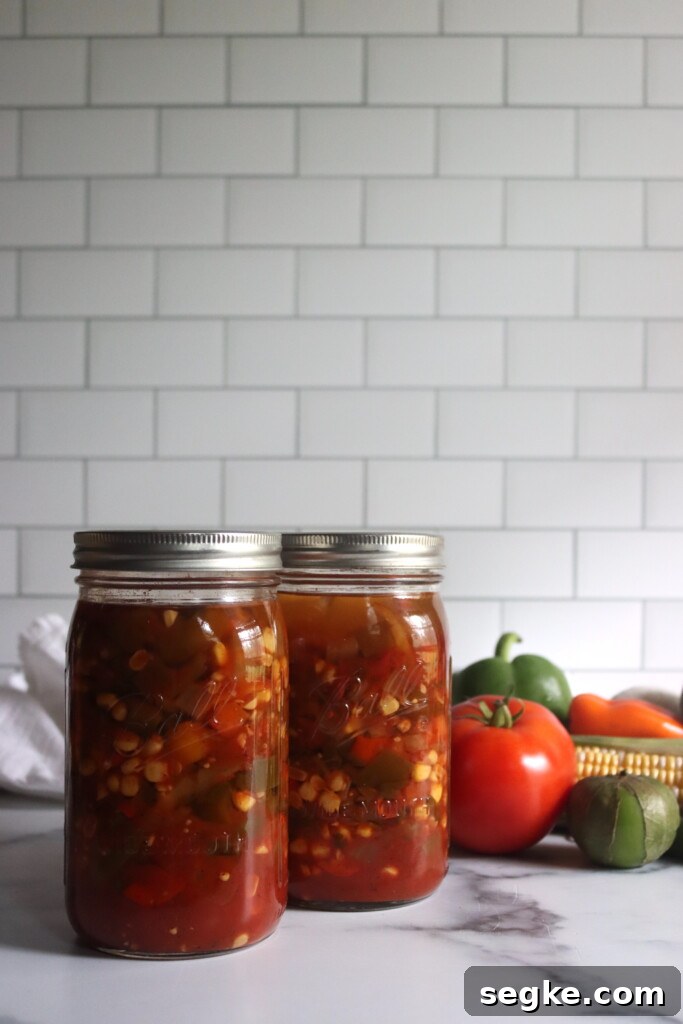 Southwestern Vegetable Soup