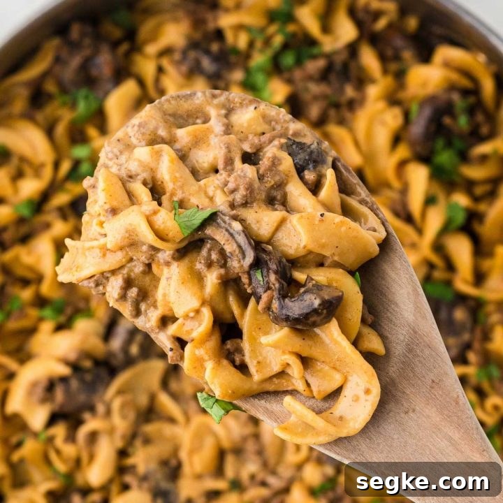 A pan with egg noodles, sliced mushrooms, and ground beef in a sauce garnished with chopped parsley with a serving lifted toward the camera on a wooden spoon.