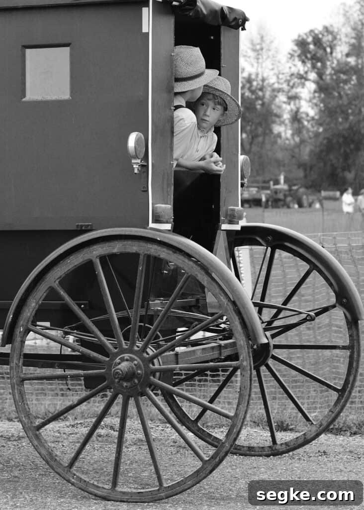 names of Amish boys riding in a buggy.