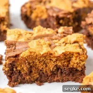 Brookies