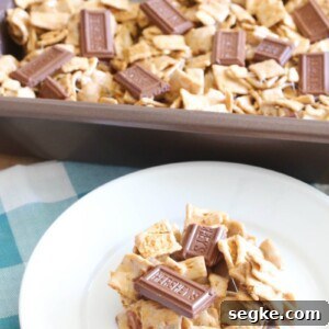 No-Bake S'Mores Bars
