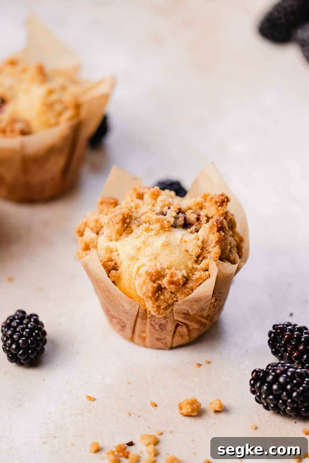 Blackberry Muffins Recipe: Fluffy, Juicy, Homemade 11 blackberry muffin with crumble on top