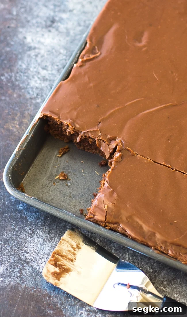 texas chocolate sheet cake