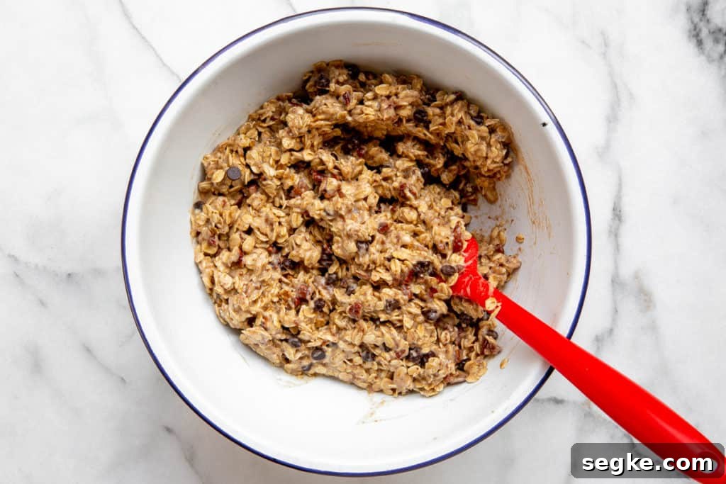Banana Oat Breakfast Cookies - Gluten-Free Vegan 5 img 2905 4