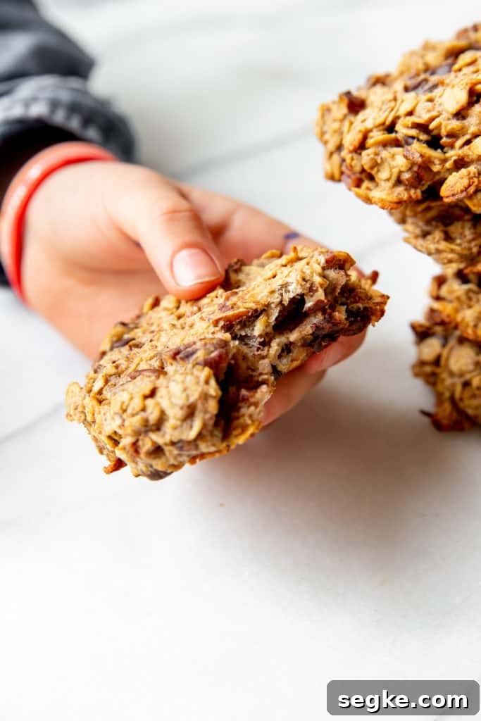 Banana Oat Breakfast Cookies - Gluten-Free Vegan 8 A hand holding a gluten free banana breakfast cookie with a bite taken out.