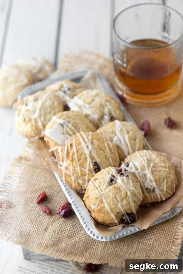 Brandied Cranberry Cookies Recipe 2 Brandied Cranberries Cookies - image 1