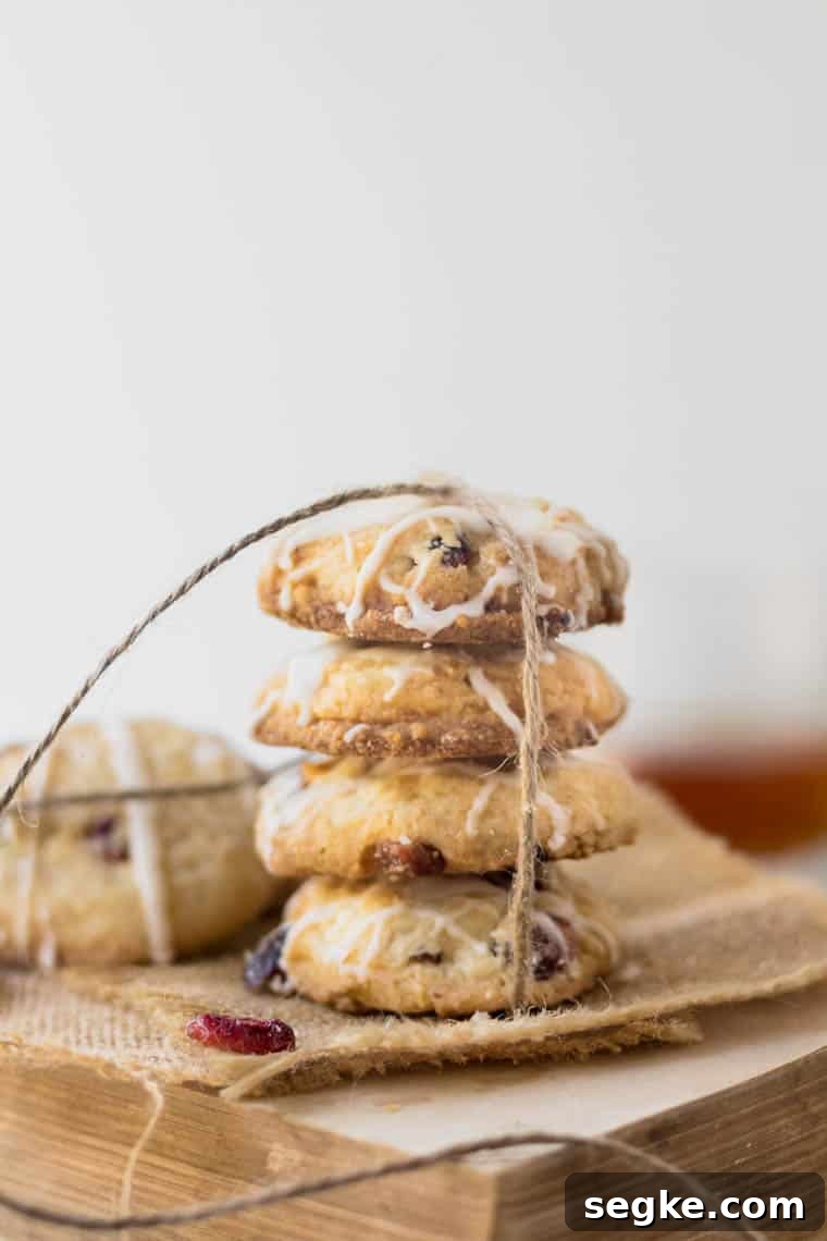 Brandied Cranberry Cookies Recipe 4 Brandied Cranberries Cookies - image 3