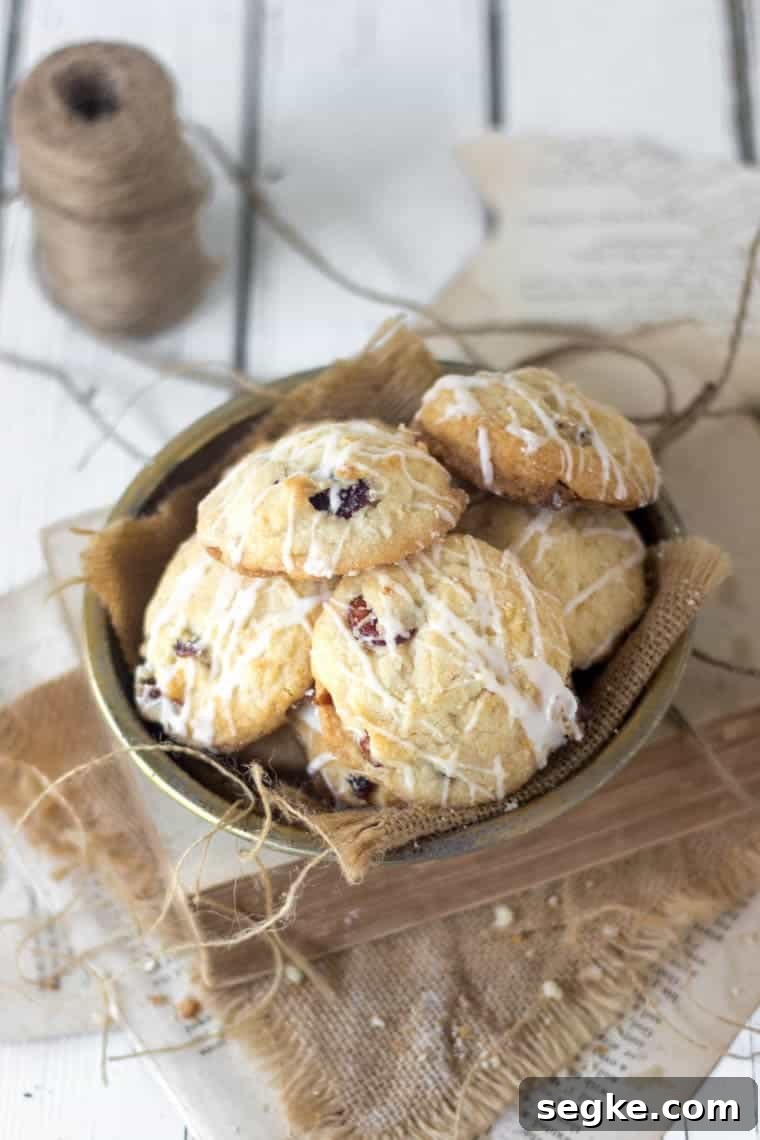 Brandied Cranberry Cookies Recipe 5 Brandied Cranberries Cookies - image 4