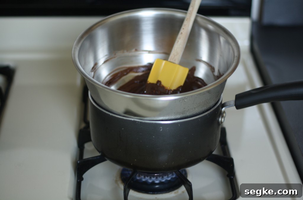melted chocolate img 3010 4