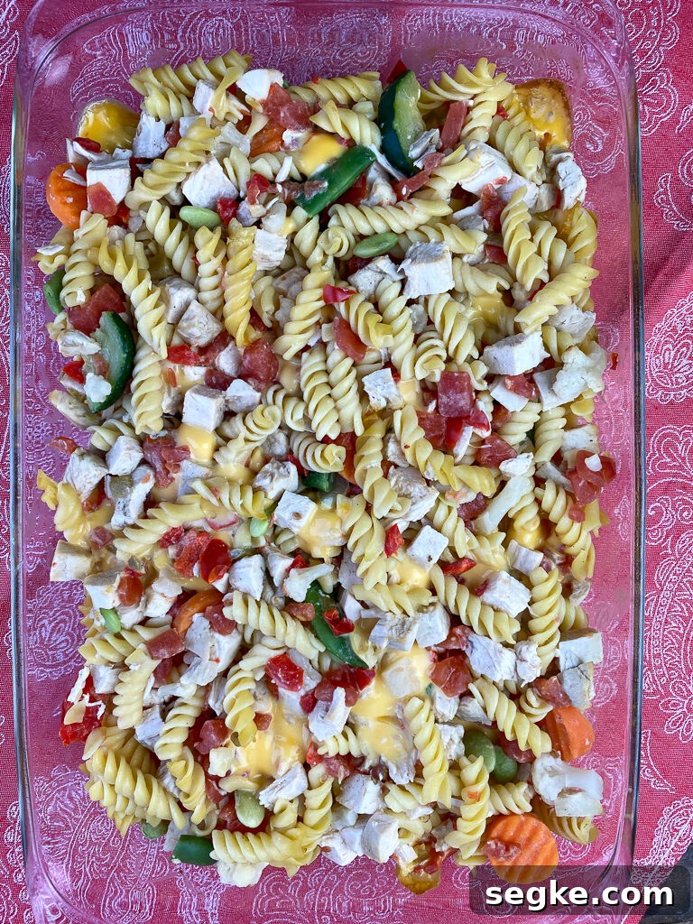 Baked chicken and Velveeta cheese casserole with Rotel and veggies ready to stir and serve.