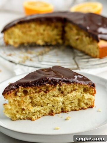 Moist Blueberry Cornmeal Cake Recipe 8 img 32970 8
