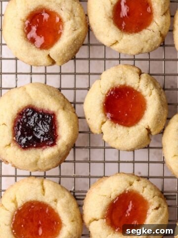Moist Blueberry Cornmeal Cake Recipe 9 img 32970 9