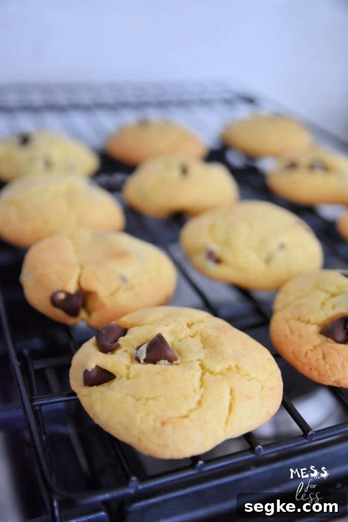 Air Fryer Chocolate Chip Cookies from Cake Mix 11 chocolate chip cookies on a baking rack