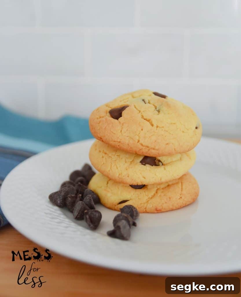 Air Fryer Chocolate Chip Cookies from Cake Mix 12 cake mix chocolate chip cookies