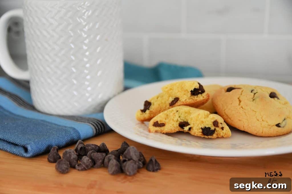 Air Fryer Chocolate Chip Cookies from Cake Mix 13 air fryer chocolate chip cookies