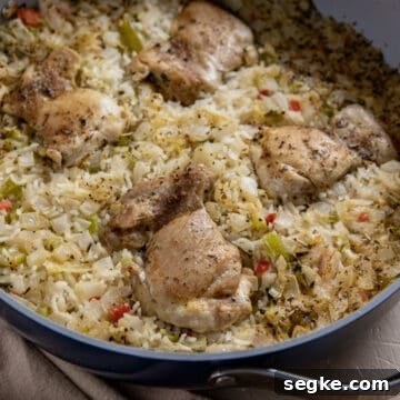 cooked chicken and rice in skillet