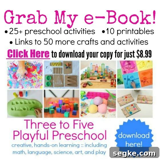 Three to Five Playful Preschool e-book