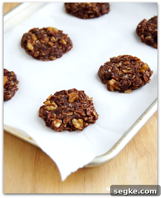 nobakecookies-3