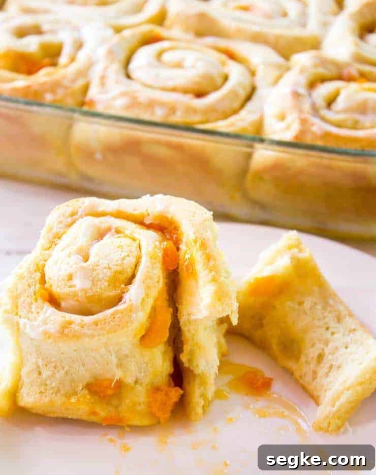 A sweet roll filled with apricots on a white plate.