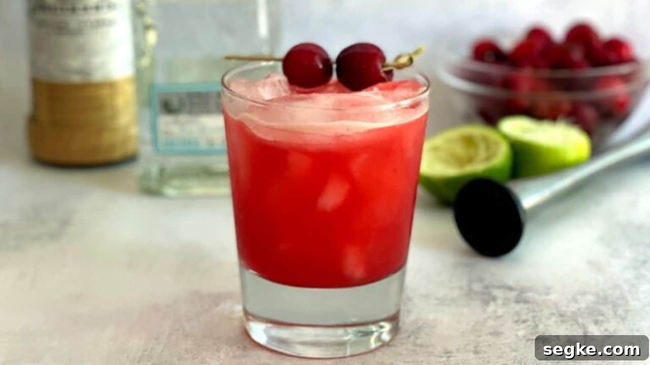 11 Cocktail Recipes to Make at Home Instead of Going to the Bar 9 Cherry Margarita