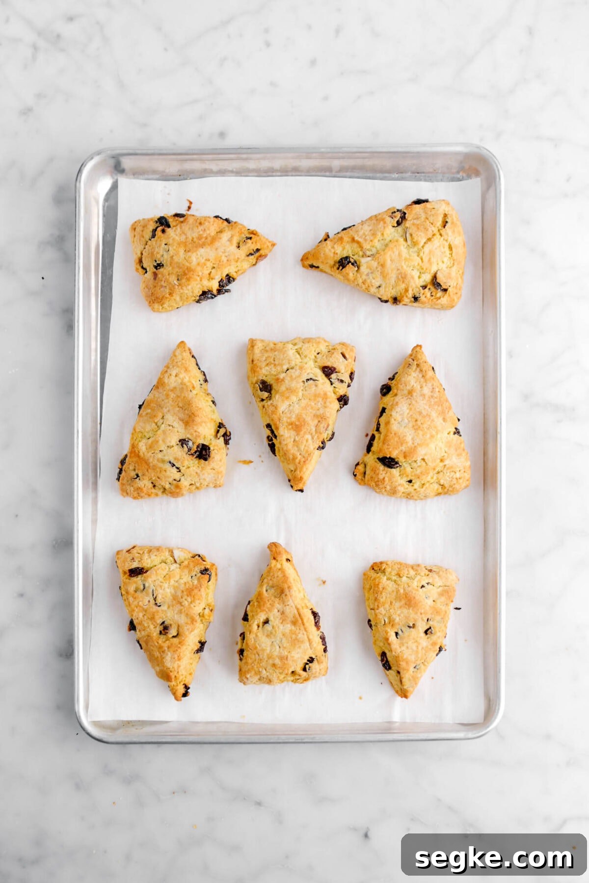 eight baked scones on lined sheet pan.